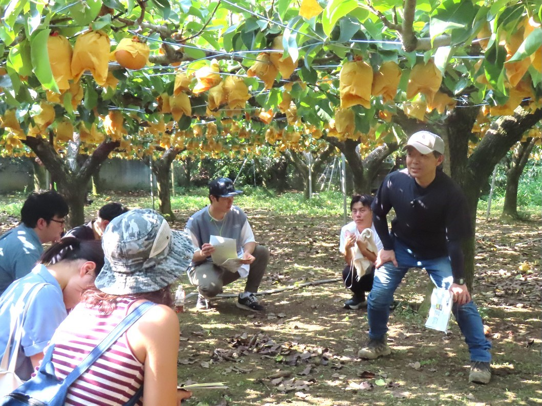 梨園でのフィールドワークの様子