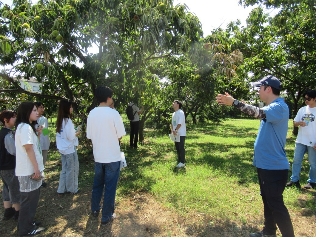 よしの園でのフィールドワークの様子