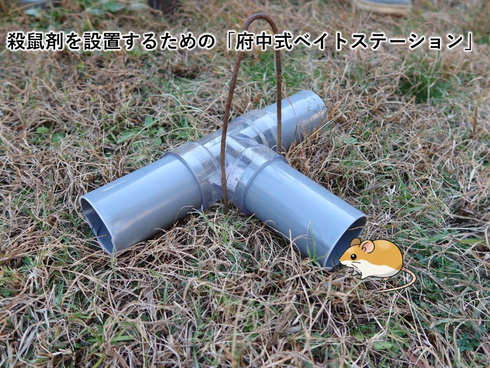 殺鼠剤を設置するための「府中式ベイトステーション」の写真です