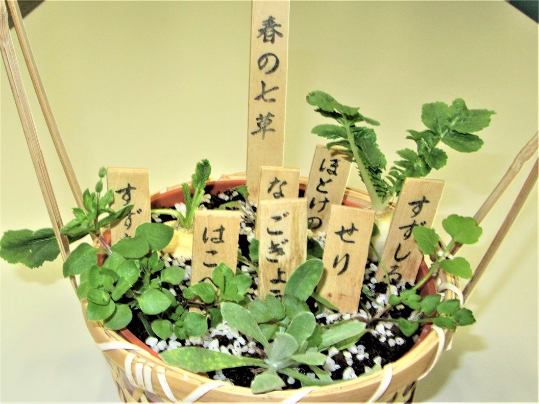 春の七草