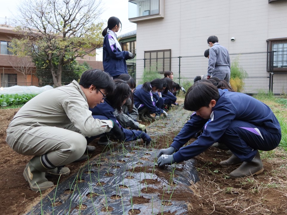 農作業を行っている農部の部員の皆さんの写真です