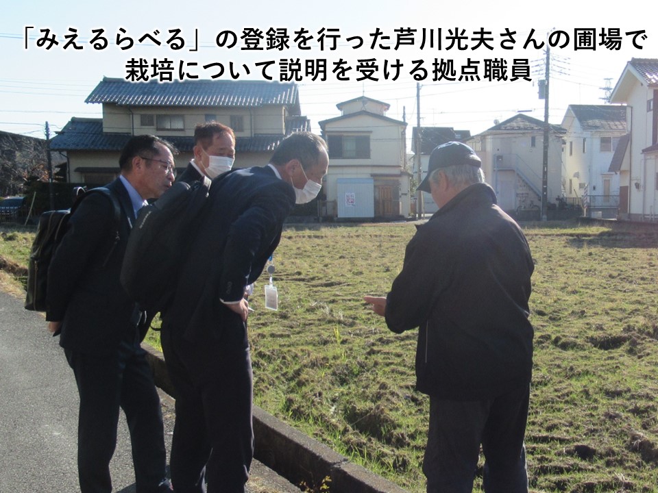 「みえるらべる」の登録を行った芦川光夫さんの圃場で栽培について説明を受ける拠点職員