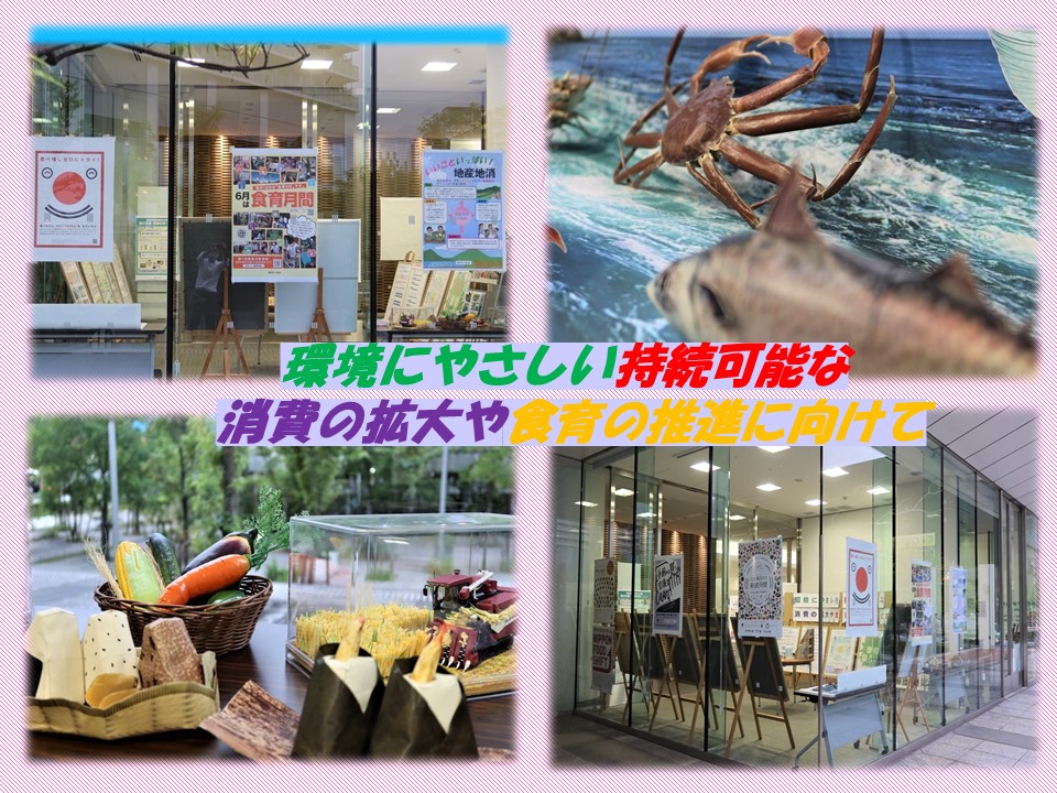 index-119.jpg
