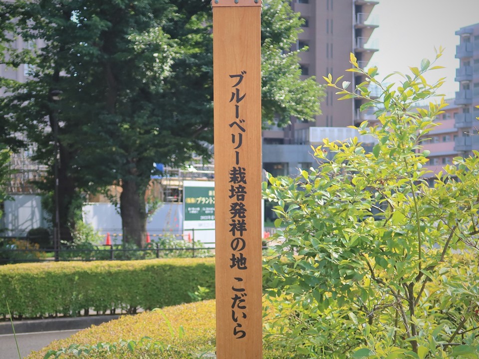 index-132.jpg