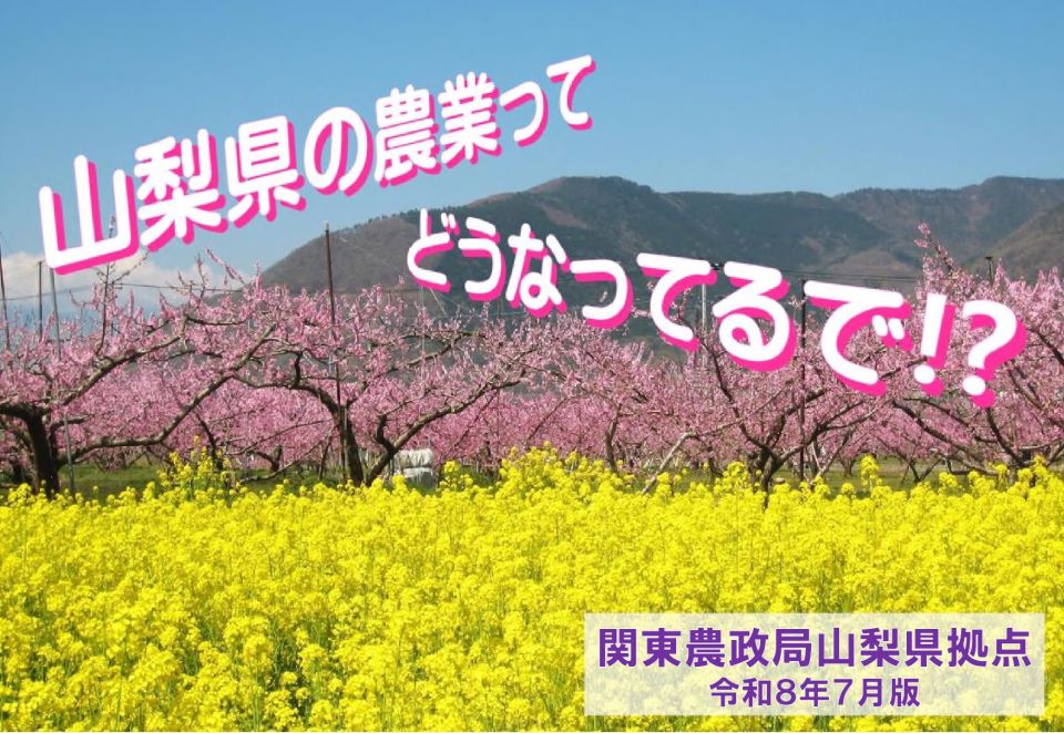 山梨県内の農業の概要を表示