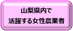 button02.jpg