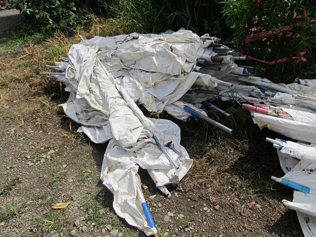 momo_mulch_seiso_2.JPG