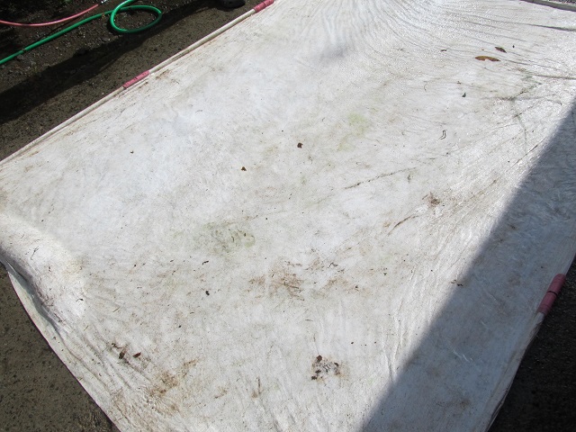 momo_mulch_seiso_3.JPG
