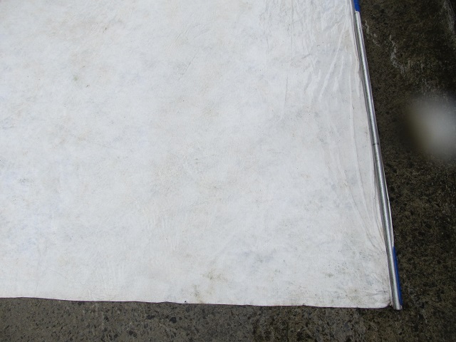 momo_mulch_seiso_5.JPG