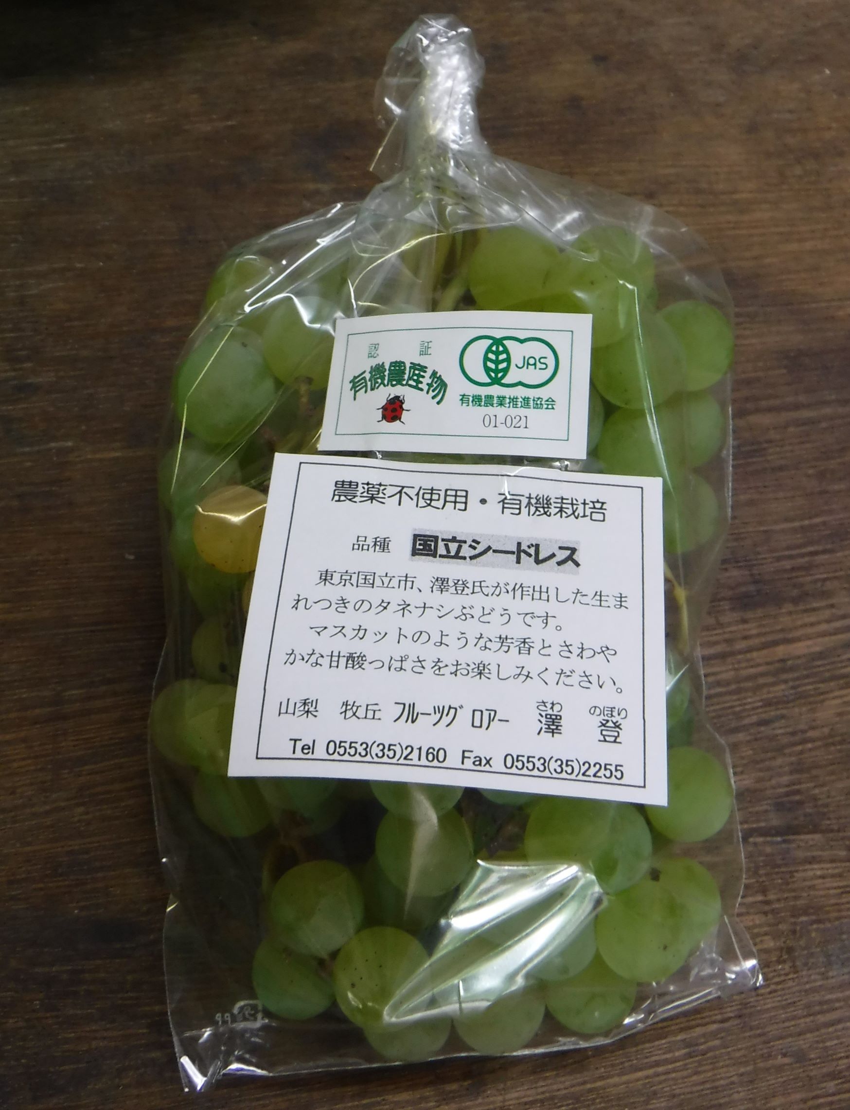 202408_sawanobori_7.jpg