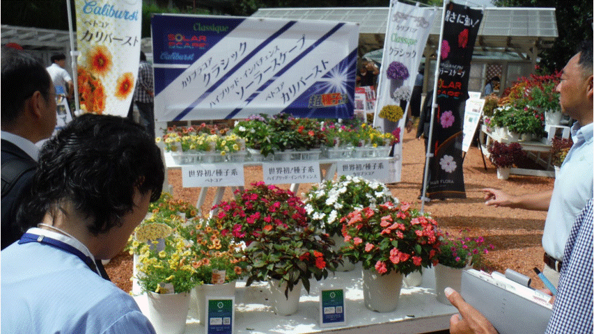 フラワートライアルジャパン2025