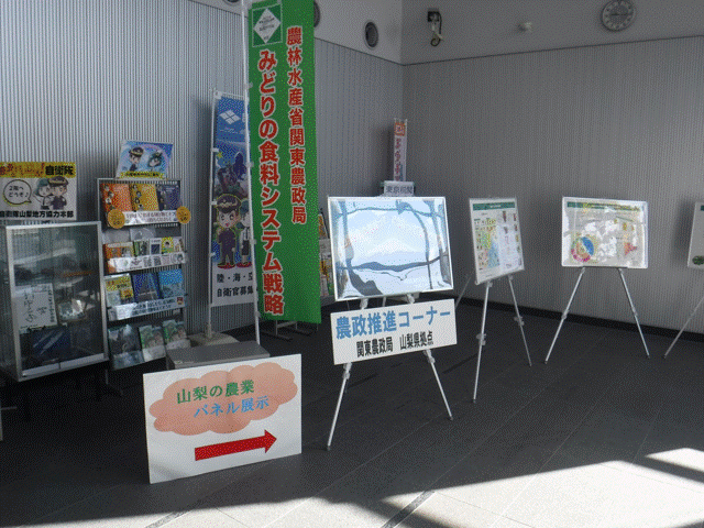 甲府合同庁舎でのパネル展示