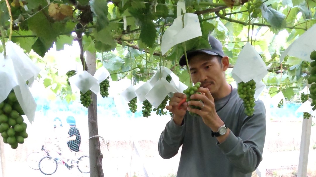 上坂知哉