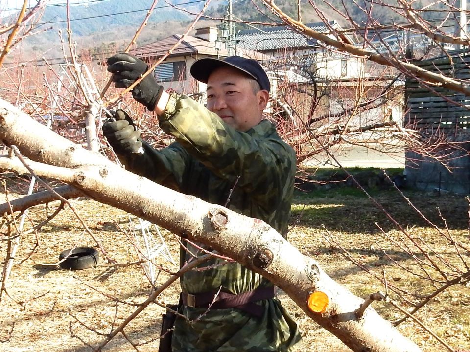 剪定作業をする山本浩行さん