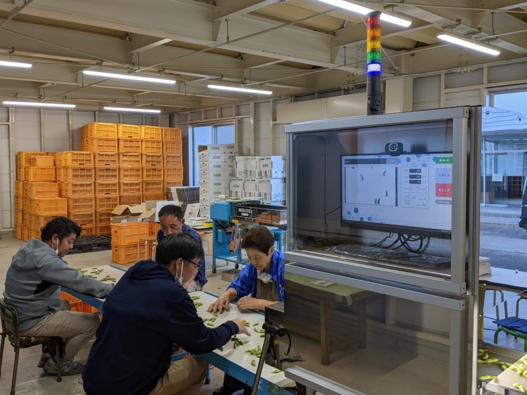 AIと連動した「枝豆精選別機」