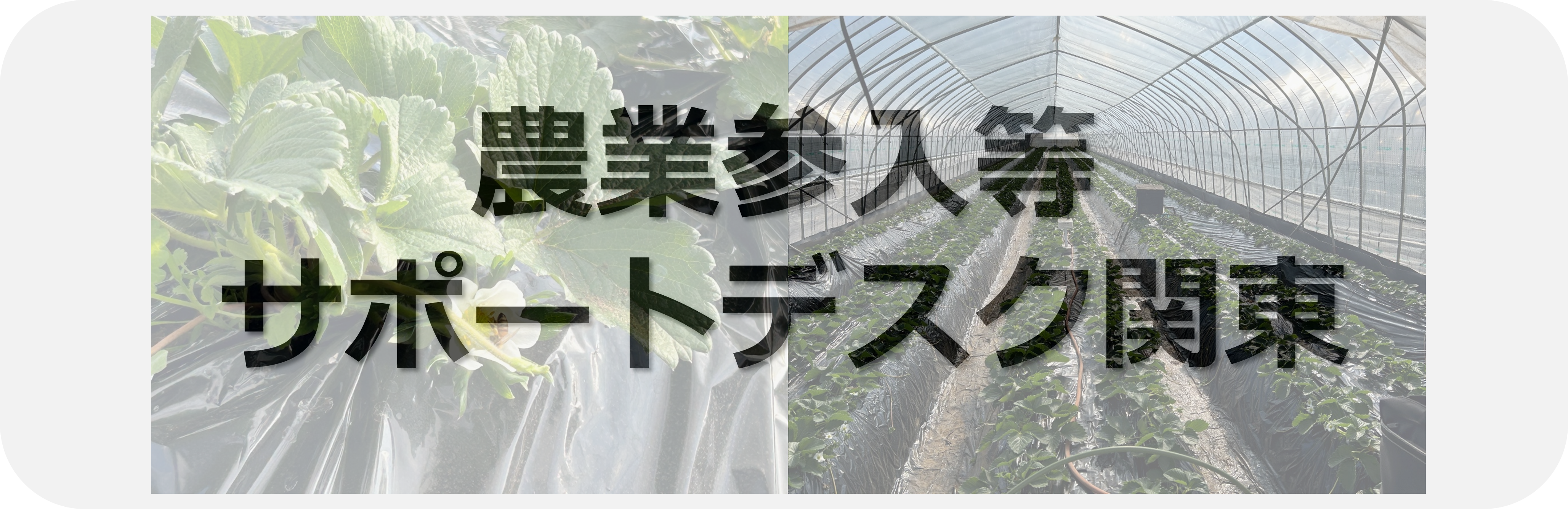 サポートデスク関東バナー