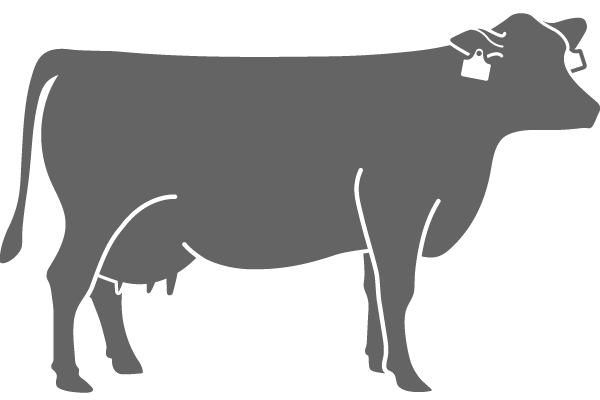 牛アイコン