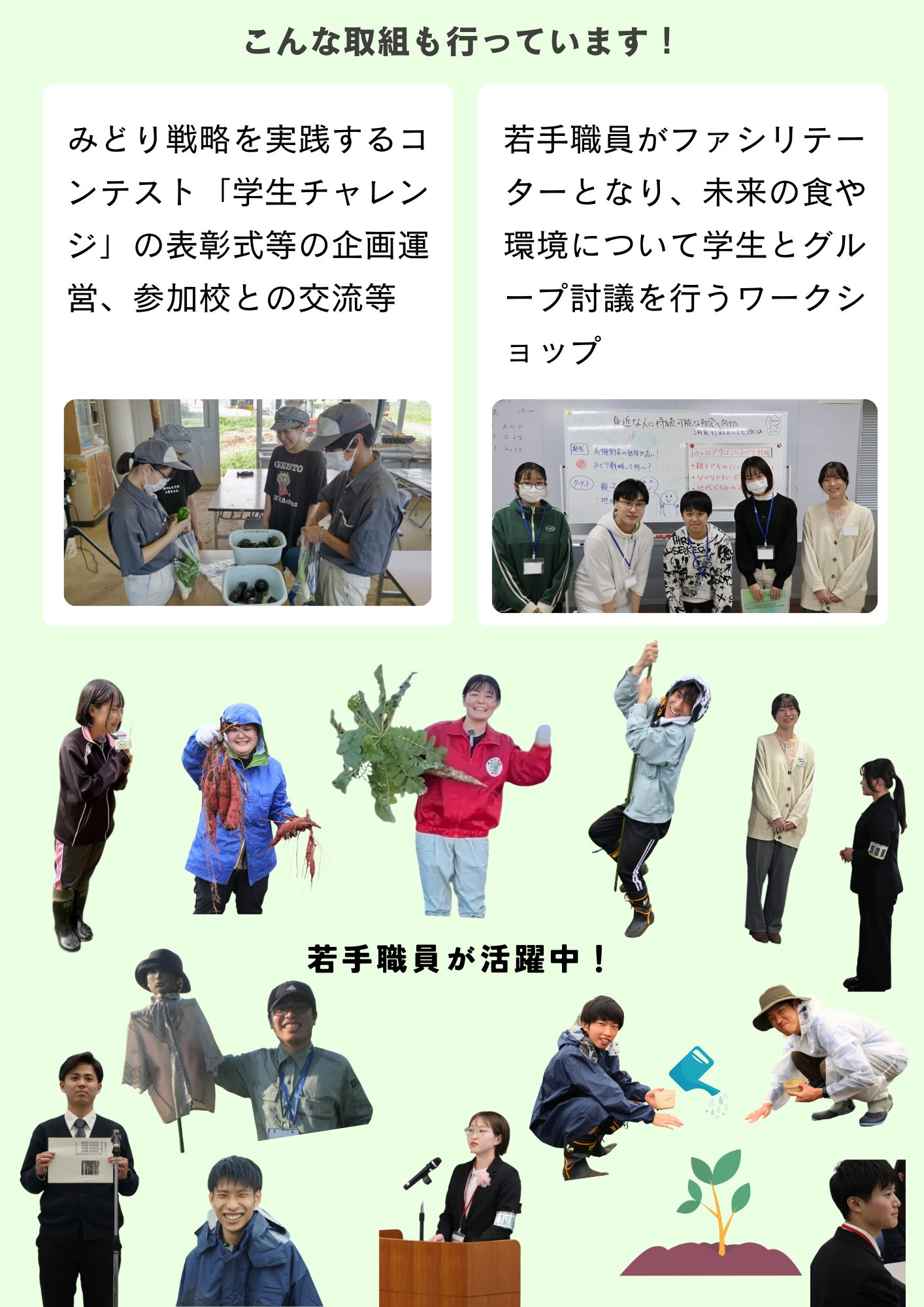 R7syokumirachirashi2.jpg