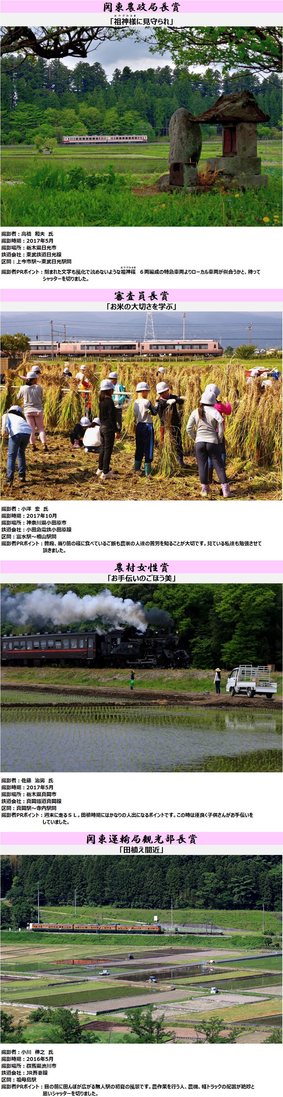 入選画像