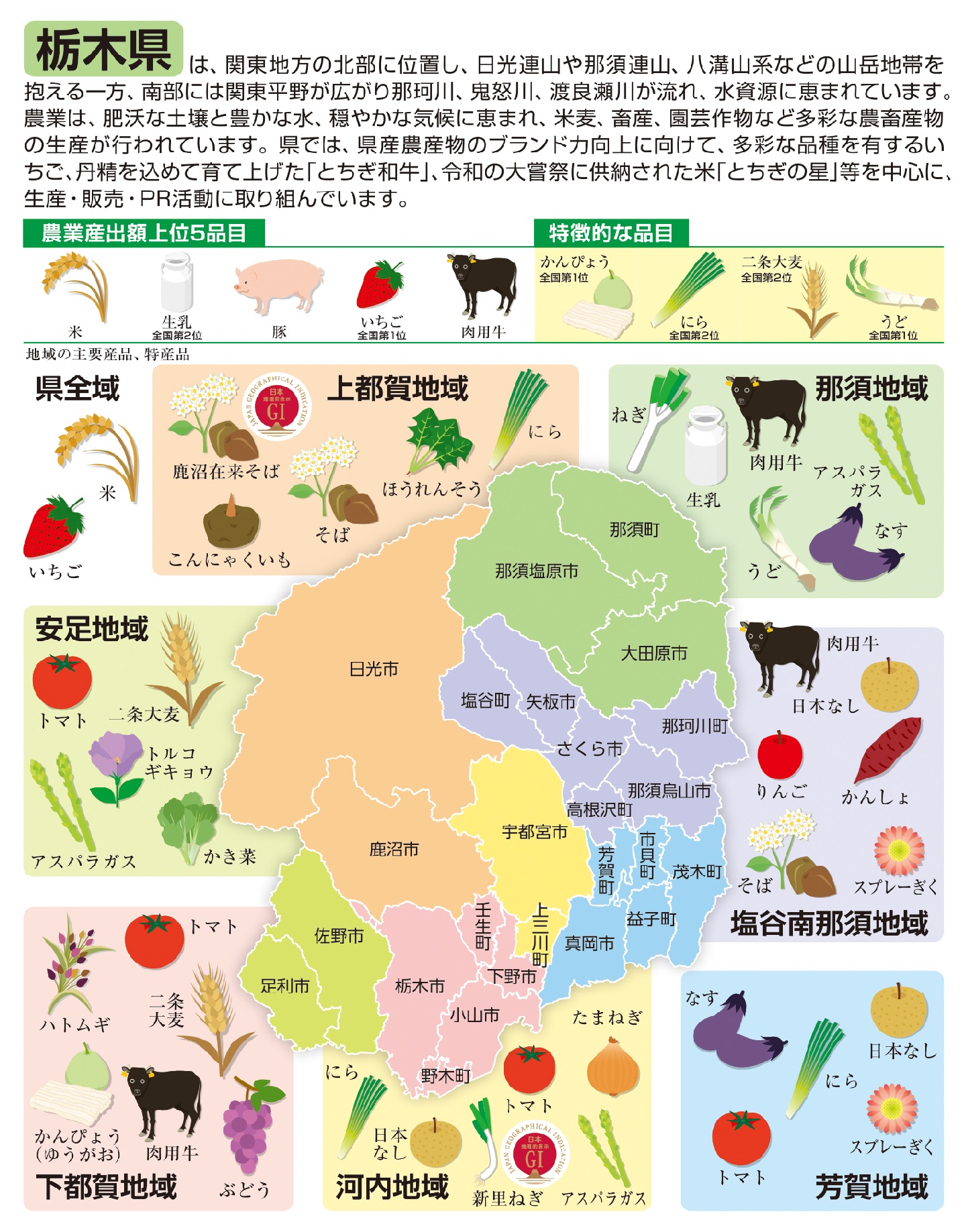 03_栃木.jpg