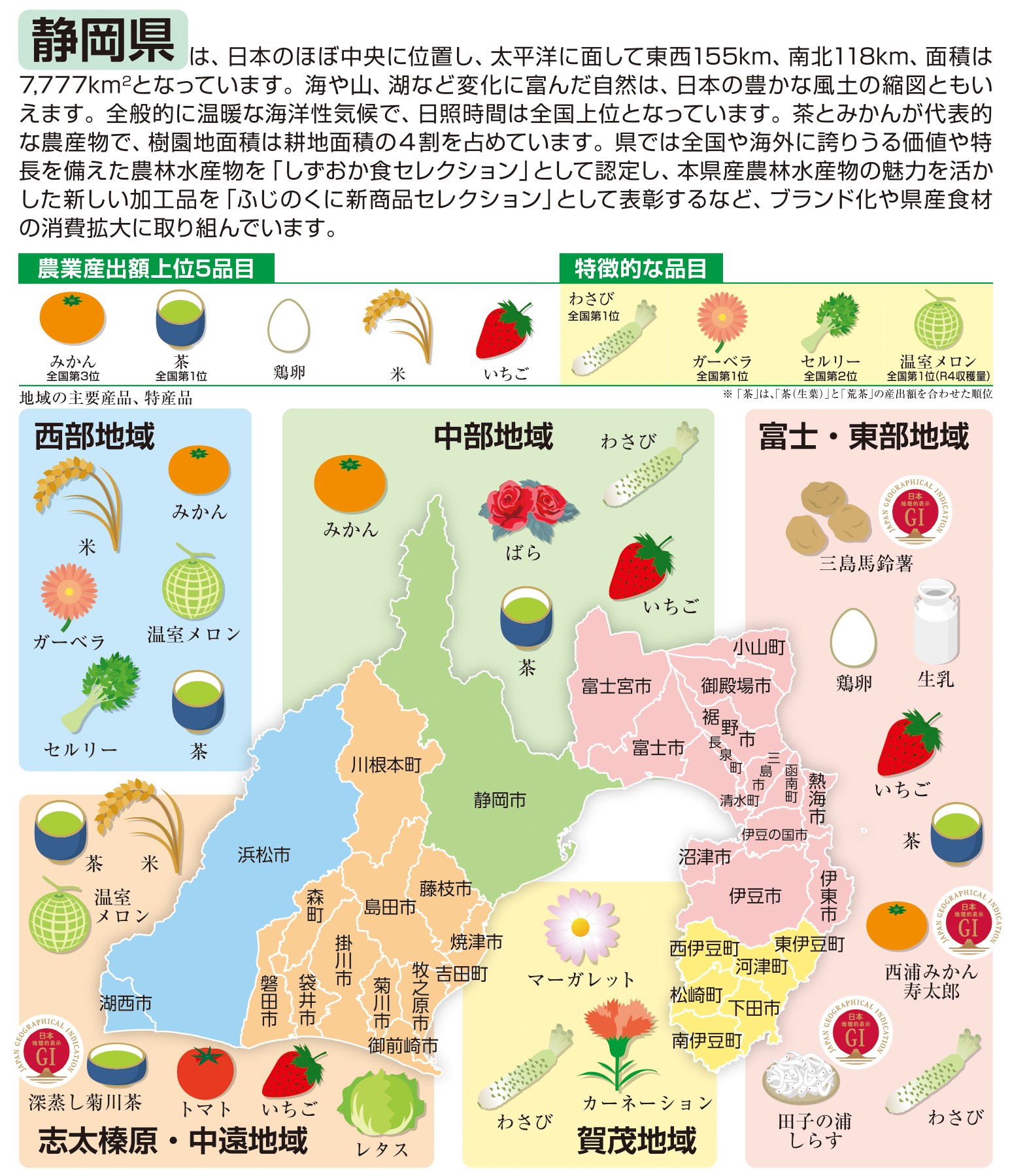 11_静岡.jpg