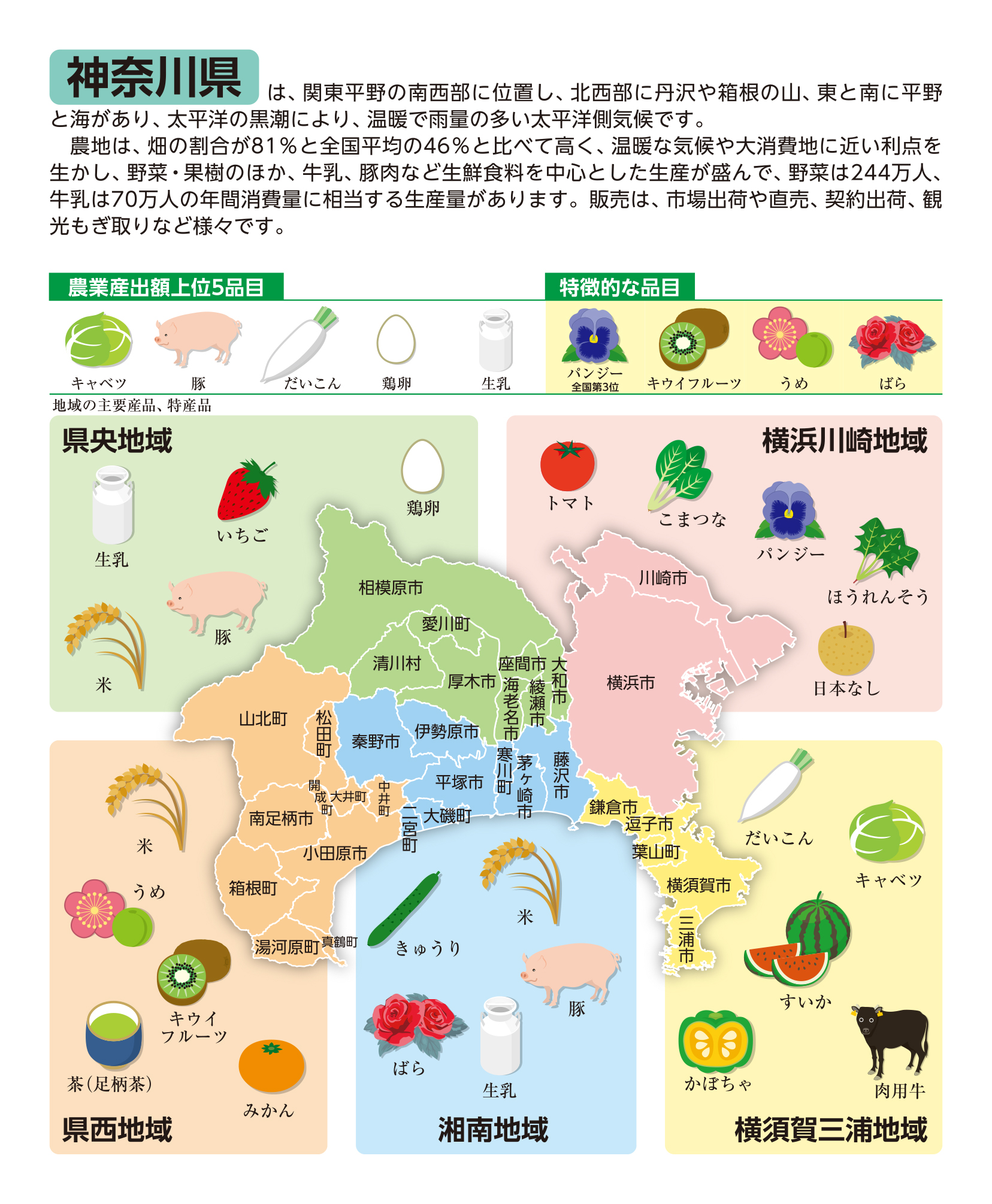 12_神奈川.jpg