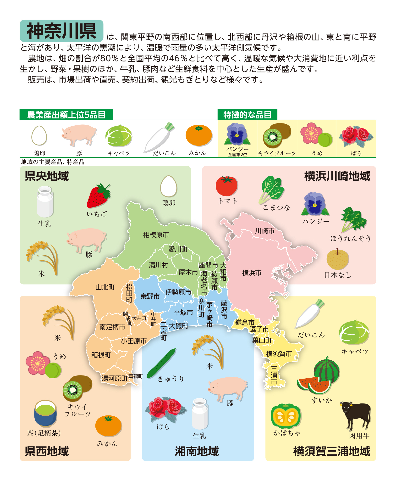神奈川県の概要