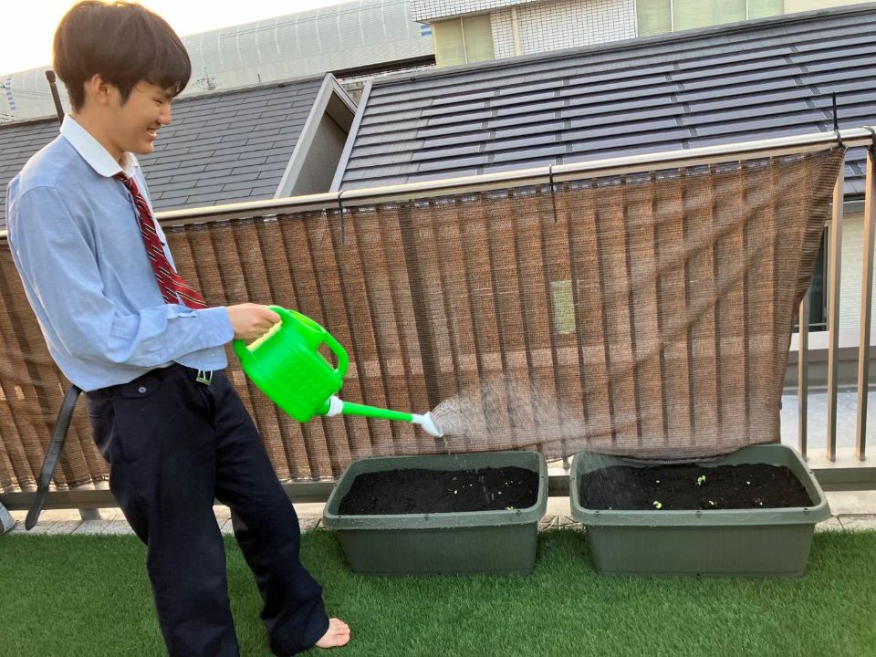 水やりをしている様子