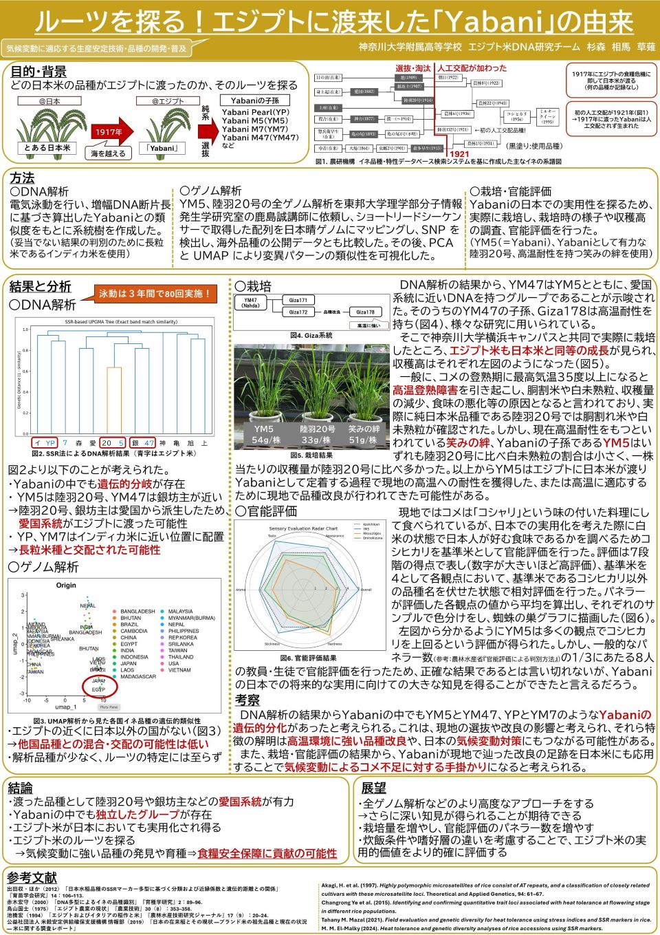 神奈川大学附属高等学校エジプト米DNA研究チーム成果物