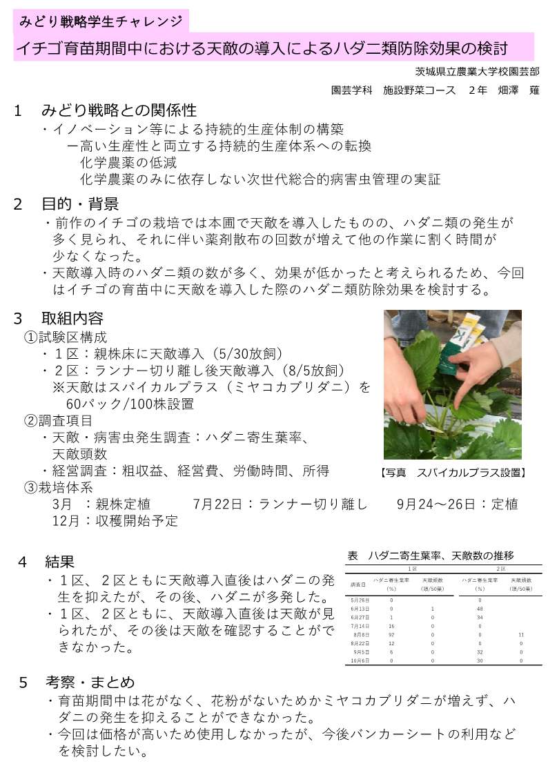 イチゴ育苗期間中における点滴の導入によるハダニ類防除効果の検討