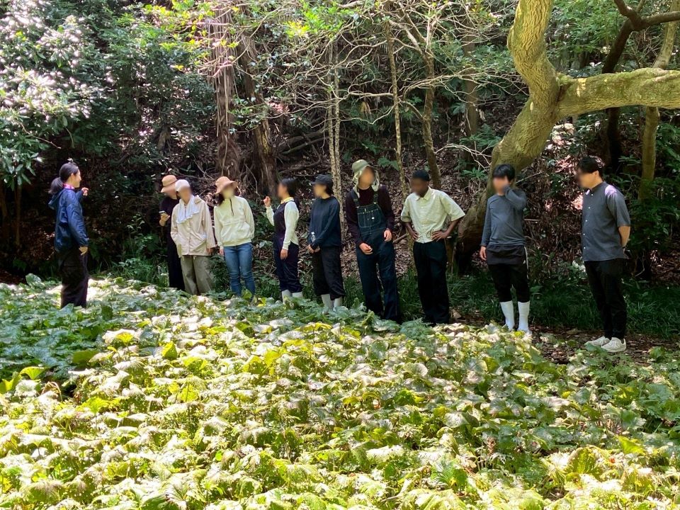わさび田ツアーの様子