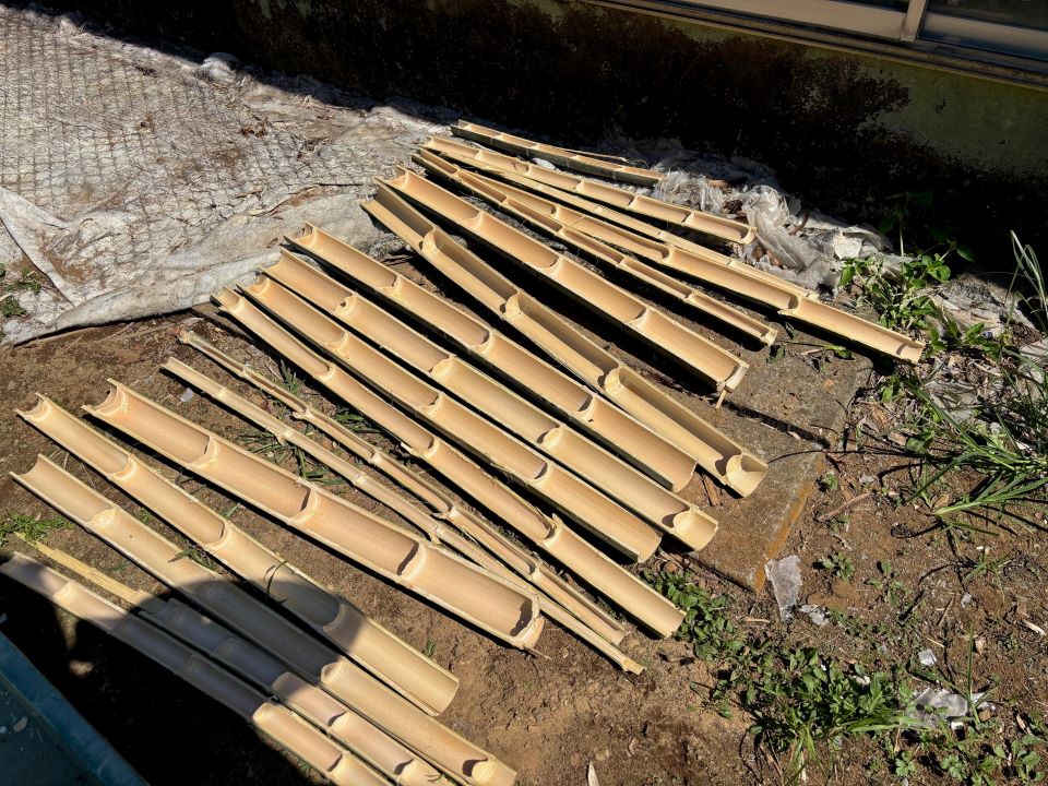 切られた竹が並んでいる様子