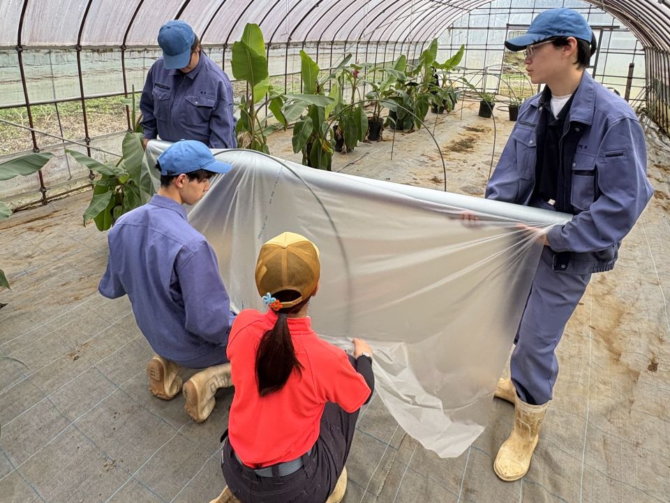 ビニールを貼る様子