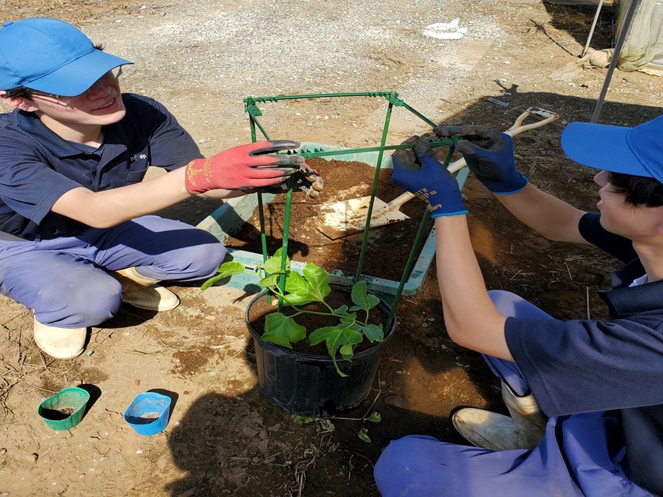 支柱を立てる様子