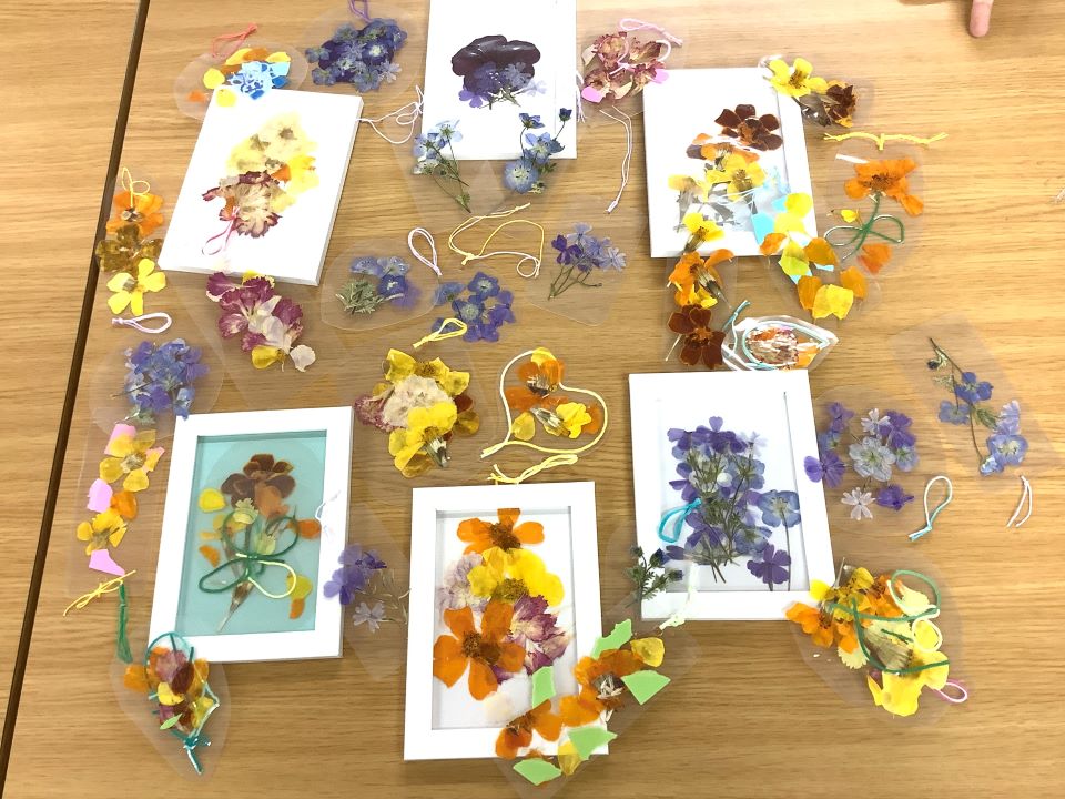 フレーム入りの押し花と押し花のしおりが円状に配置された写真