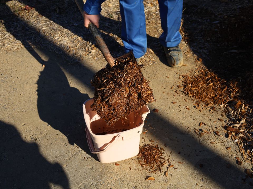 バケツに入った堆肥