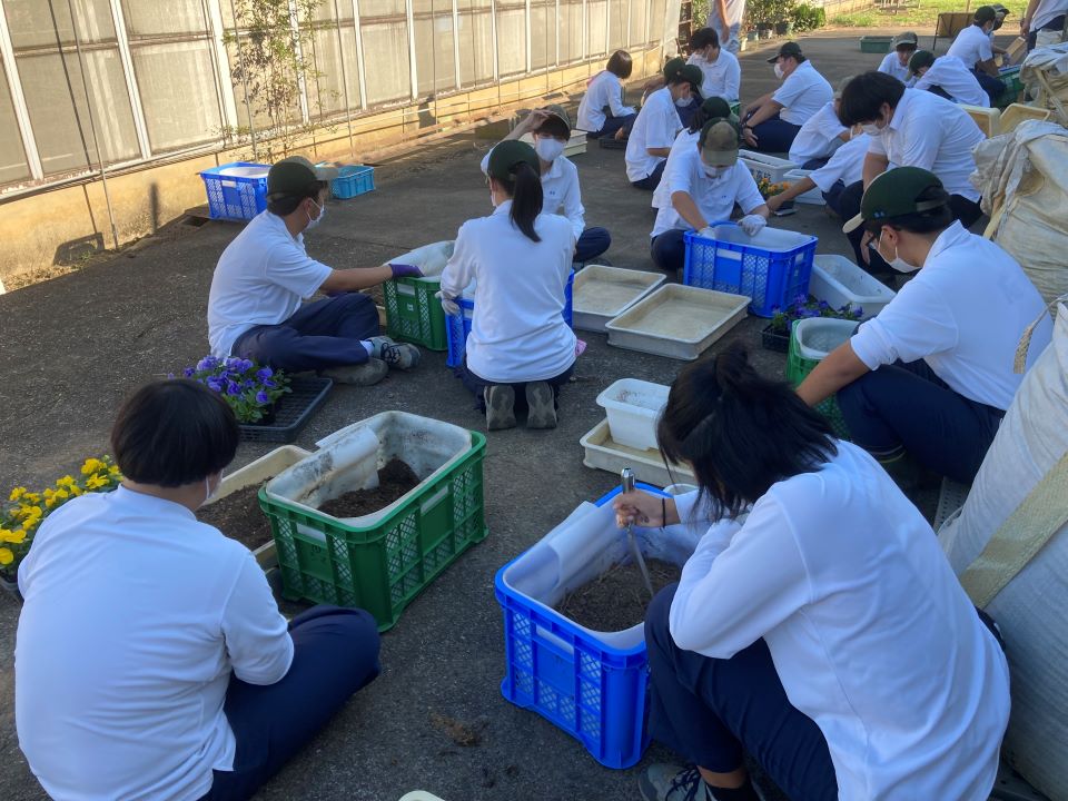 ミミズコンポストの作成