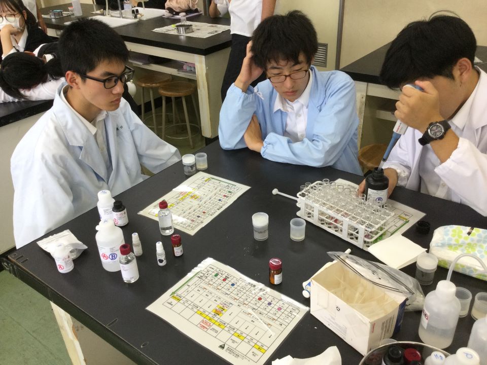 ミミズ堆肥の分析