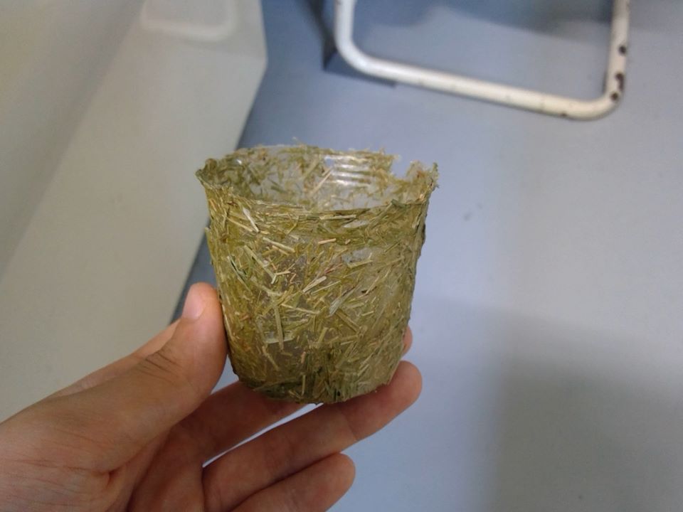 ポリポットを手で持っている写真