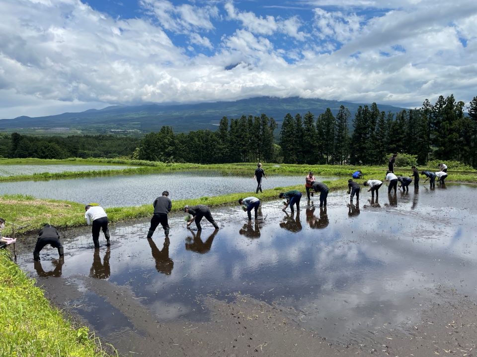 学生が手作業で田植えを行う様子
