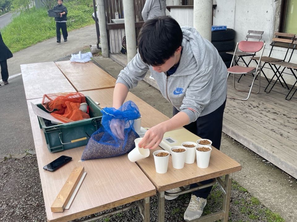 学生が苗を作っている様子