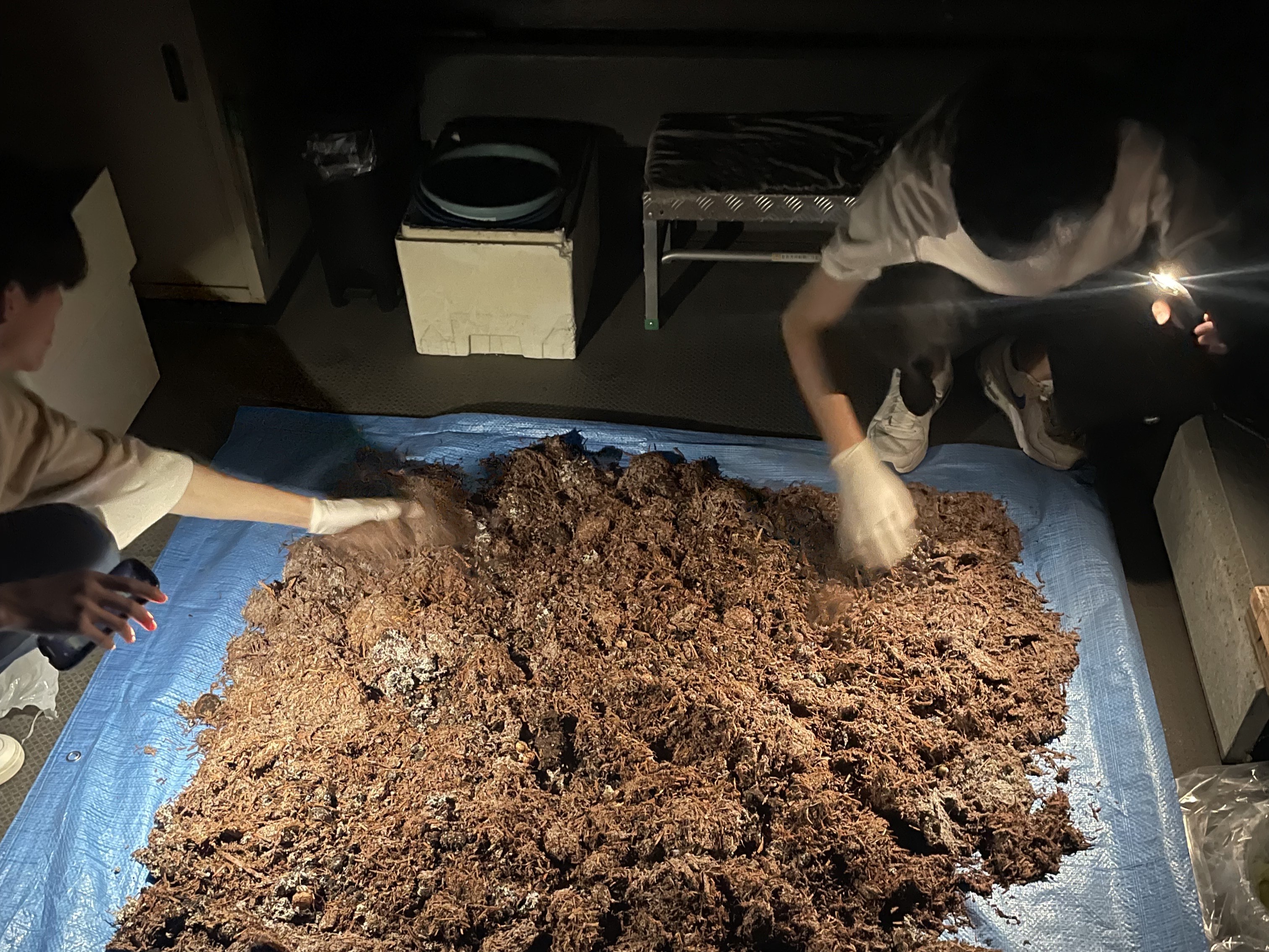 学生が作業をする様子