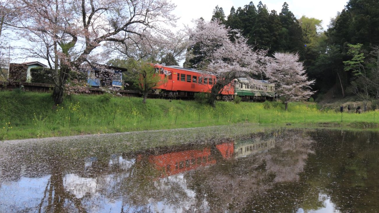 photocontest_kazuhikaru.jpg