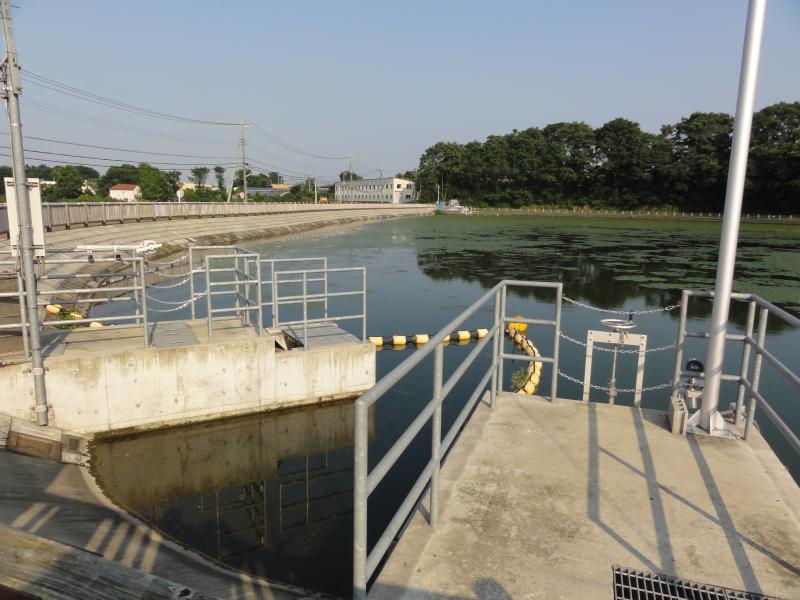 羽根倉池改修後写真2