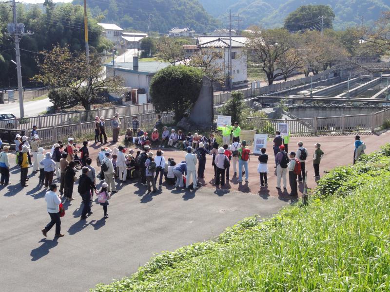 平成24年度ふれあいウォーキング写真