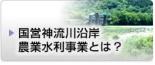 jigyou_banner.jpg