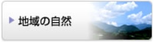 sizen_banner.jpg