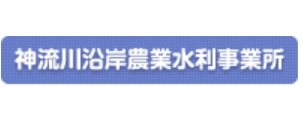 top_banner.jpg
