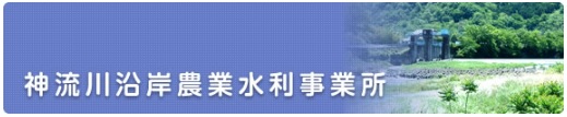 神流川トップバナー