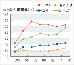 なす、トマト、キュウリ、イチゴのヘクタール当たりの収穫量の推移